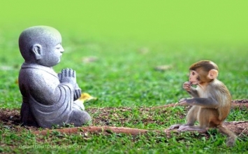 Có hiểu mới có thương, không hiểu biết không thể thương yêu!